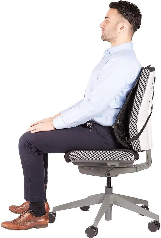 Alt view image 20 of 20 - Fellowes 9191301 Office Suites Mesh Back Support - Black