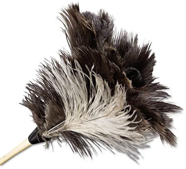 Alt view image 16 of 20 - Boardwalk Professional Ostrich Feather Duster 7" Handle 13FD