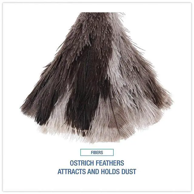 Alt view image 19 of 20 - Boardwalk Professional Ostrich Feather Duster 7" Handle 13FD