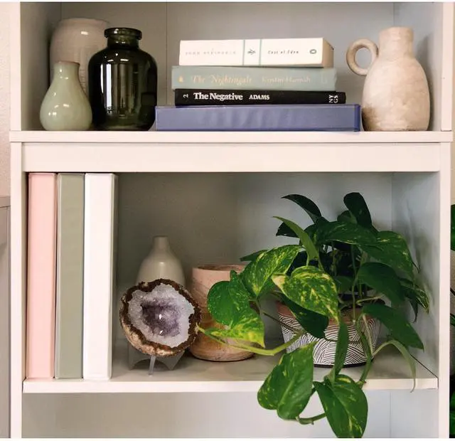 Alt view image 7 of 7 - Samsill Earth's Choice Plant-Based View Durable Binders 3 Round Ring Assorted Color 4 Pack (MP46939)