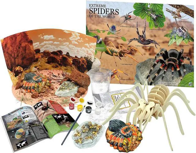 Alt view image 2 of 8 - Learning Advantage WILD! ScienceExtreme Science Kit Spiders of the World for Grade 1+ CTUWES945