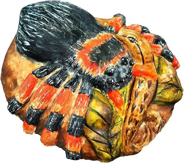 Alt view image 7 of 8 - Learning Advantage WILD! ScienceExtreme Science Kit Spiders of the World for Grade 1+ CTUWES945
