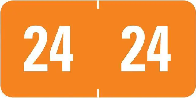 Main image of Smead ETS 24 Color-Coded Year Label 0.5" x 1" Orange 250 Labels/Pack (67924)