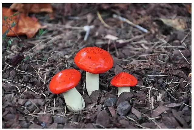 Alt view image 10 of 12 - G & F MiniGardenn 10025 Fairy Garden Miniature Mushrooms (Set of 3), Orange, 0.5-1.25"High