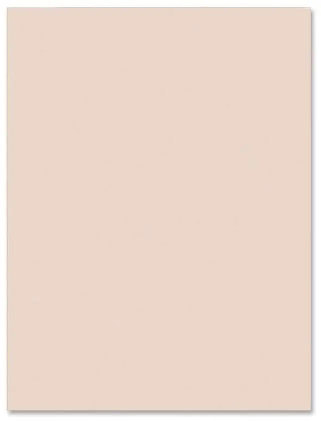 Main image of Pacon Tagboard Paper