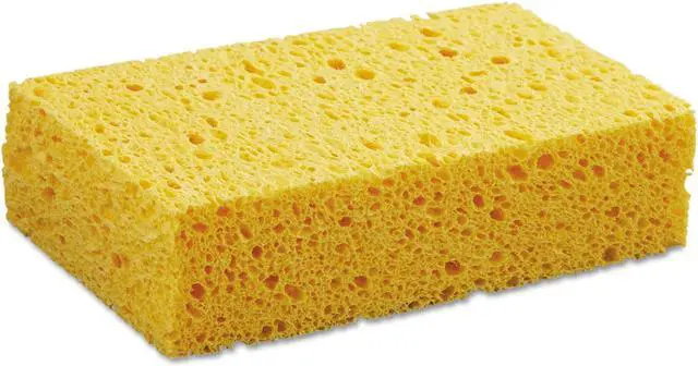 Main image of MEDIUM CELLULOSE SPONGE