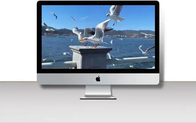 Main image of Apple Desktop Computer 27-inch iMac A2115 2019 MRR02LL/A 3.1 GHz Core i5 (I5-8600) 64GB RAM 1TB HDD & 512 GB SSD Storage Radeon Pro 575X Graphics (Renewd)
