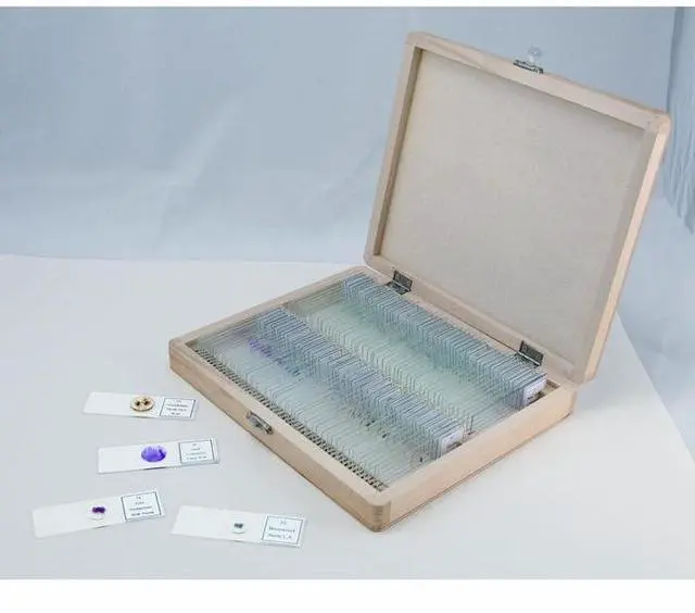 Alt view image 4 of 7 - Celestron Prepared Microscope Slides Set 44412