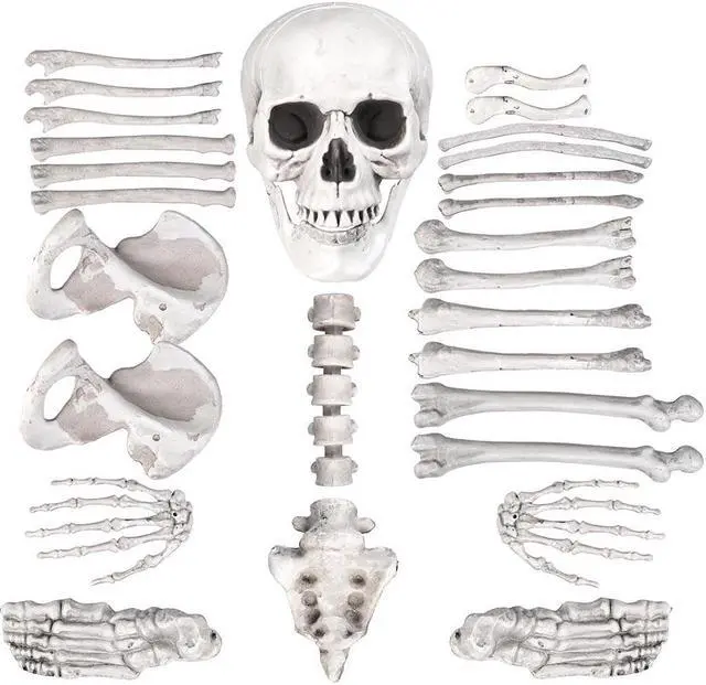 Alt view image 2 of 7 - Bag of Skeleton Bones Skull 28pcs Set Props Horror Halloween Party Decoration 2025