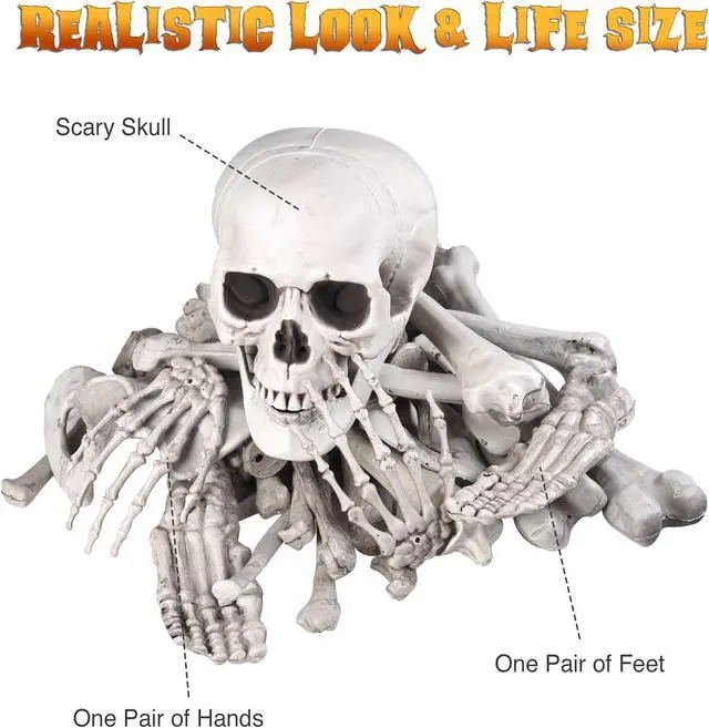 Alt view image 6 of 7 - Bag of Skeleton Bones Skull 28pcs Set Props Horror Halloween Party Decoration 2025