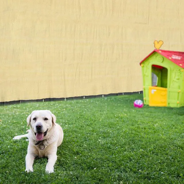 Alt view image 7 of 7 - 50x4 ft Outdoor Privacy Fence Screen Mesh Windscreen 180gsm Brand New HDPE Fencing Shade Cover Garden