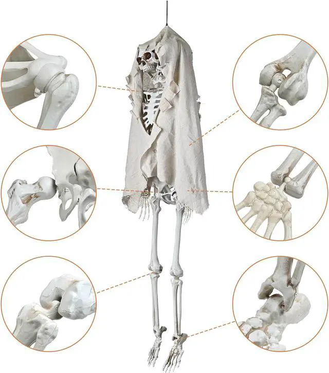Alt view image 3 of 7 - Yescom Life Size Skeleton Poseable Full Size Two Head 5.4Ft Halloween Party Decoration Haunted House 2024