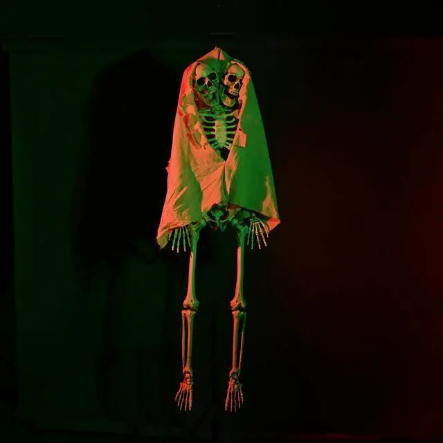 Alt view image 5 of 7 - Yescom Life Size Skeleton Poseable Full Size Two Head 5.4Ft Halloween Party Decoration Haunted House 2024
