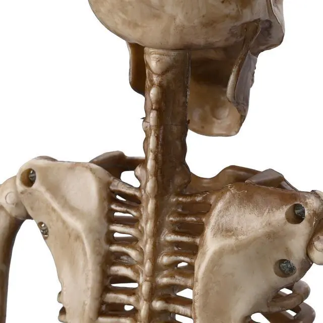 Alt view image 6 of 7 - Yescom 4 Pcs 16" Mermaid Skeleton Hanging Bones with Movable Joints Halloween Décor