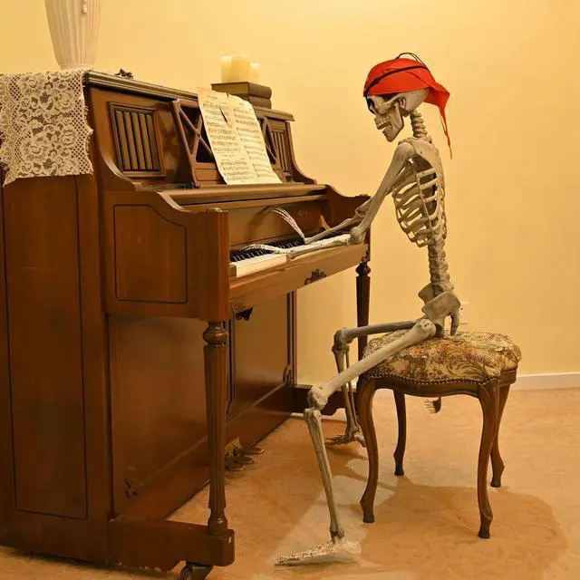 Alt view image 4 of 7 - Yescom Pirate Life Size Skeleton Poseable Full Size 5.4 Ft Halloween Party Decorations Haunted House 2025