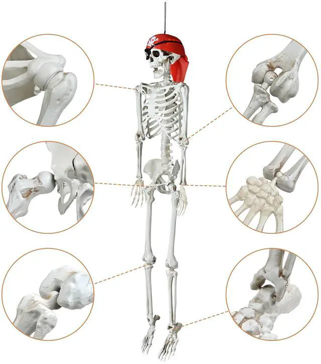 Alt view image 4 of 7 - Yescom 2PCS Pirate Life Size Skeleton Poseable Full Size Halloween Party Decoration Haunted House 2025