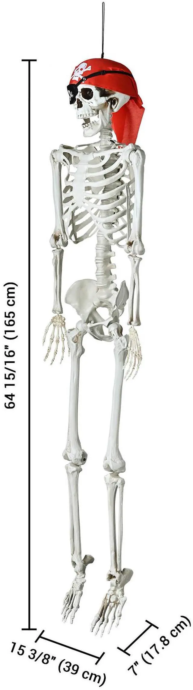 Alt view image 6 of 7 - Yescom 2PCS Pirate Life Size Skeleton Poseable Full Size Halloween Party Decoration Haunted House 2025