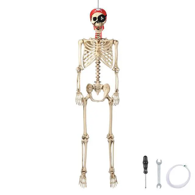 Alt view image 7 of 7 - Yescom Pirate Life Size Skeleton Poseable Full Size 5.6 Ft Halloween Party Decorations Haunted House 2026