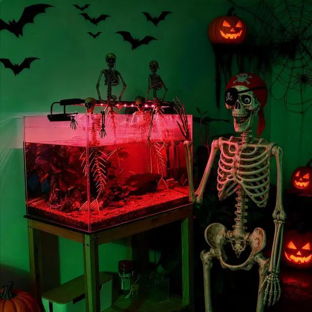 Main image of Yescom 5.6 Ft Life Size Pirate Skeleton w/ 4 Pcs Mermaid Skeleton Halloween Decorations 2026