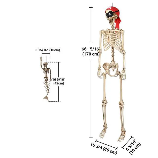 Alt view image 7 of 7 - Yescom 5.6 Ft Life Size Pirate Skeleton w/ 4 Pcs Mermaid Skeleton Halloween Decorations 2026