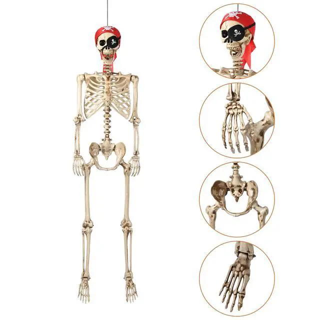 Alt view image 3 of 7 - Yescom 5.6 Ft Life Size Pirate Skeleton w/ Vulture & Owl Skeleton Halloween Party Decorations 2026