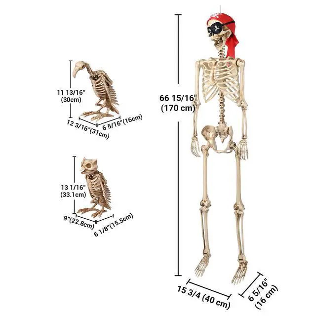 Alt view image 7 of 7 - Yescom 5.6 Ft Life Size Pirate Skeleton w/ Vulture & Owl Skeleton Halloween Party Decorations 2026