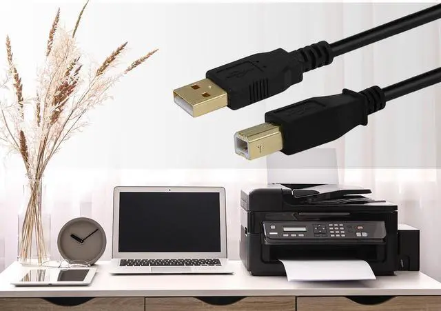 Alt view image 11 of 14 - Monoprice USB 2.0 Cable - 6 Feet - Black | USB Type-A Male to USB Type-B Male, 28/24AWG with Ferrite Core, Gold Plated