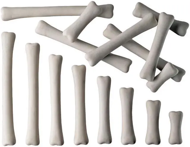 Main image of YELLOW DOOR DINOSAUR BONES MATCH & MEASURE SET