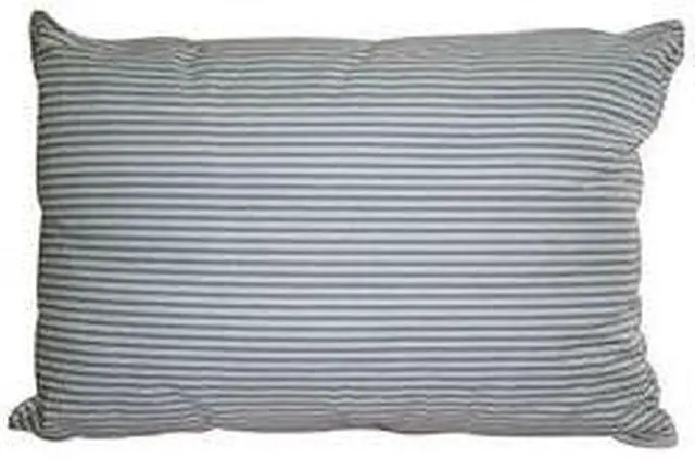 Main image of 20 x 28 Blue/White ACA Striped Grandma Pillow 27K6EGB JS Fiber