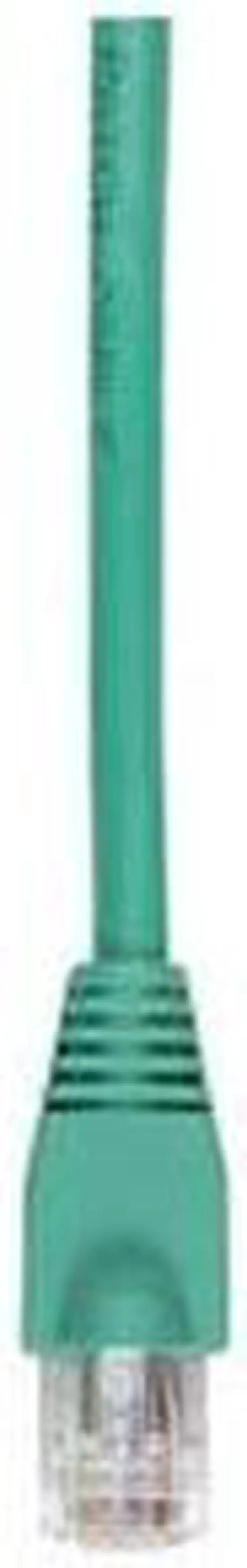Main image of BLACK BOX EVNSL642-0001 CAT6 550MHZ STR UTP PVC SNG GN 1FT