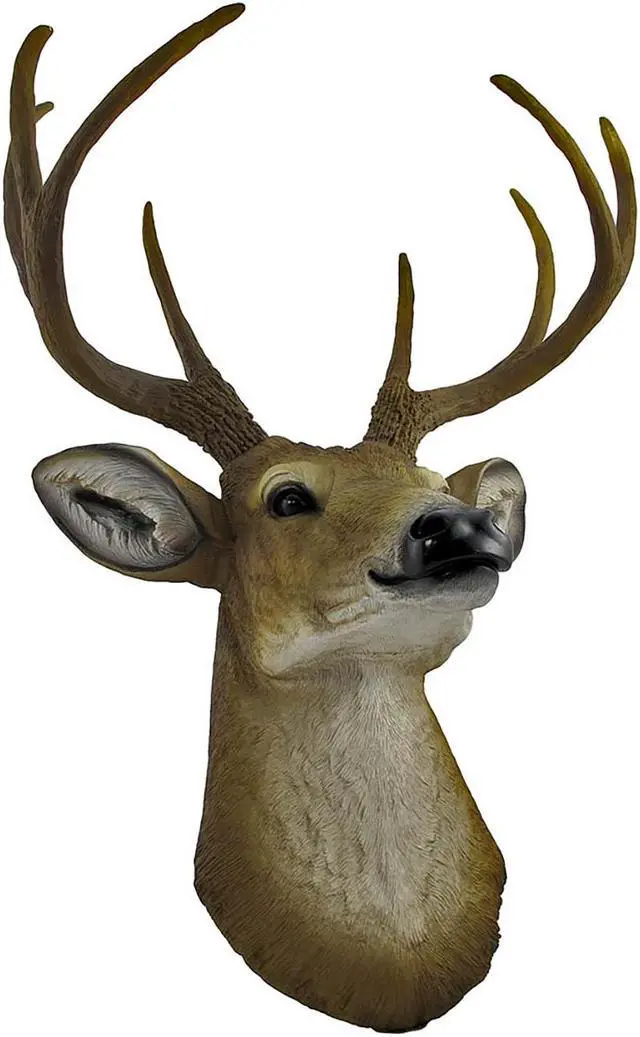 Alt view image 3 of 4 - Realistic Faux 8-Point Buck Deer Head Bust Wall Mount - 23-Inch Hanging Decor