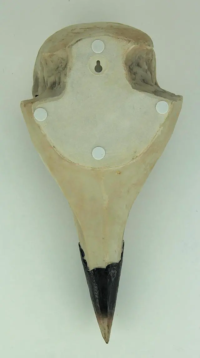 Alt view image 3 of 3 - The Enigmatic Corvus: Bird of Prophecy Gothic Raven Skull Wall Decor - Mysterious Hanging Statue for Intriguing Home Ambiance - Easy To Hang - 16 Inches High