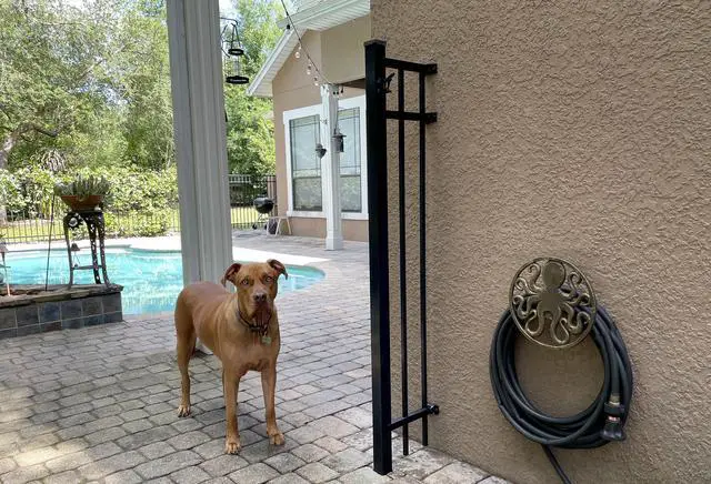 Alt view image 2 of 6 - Cast Iron 12 inch Octopus Decorative Wall Mounted Hanging Garden Hose Hanger Bronze Finish - 125 ft Hose Holder Capacity - Nautical Sea Life Outdoor Décor