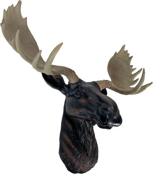Main image of North American Moose Head Bust Wall Hanging