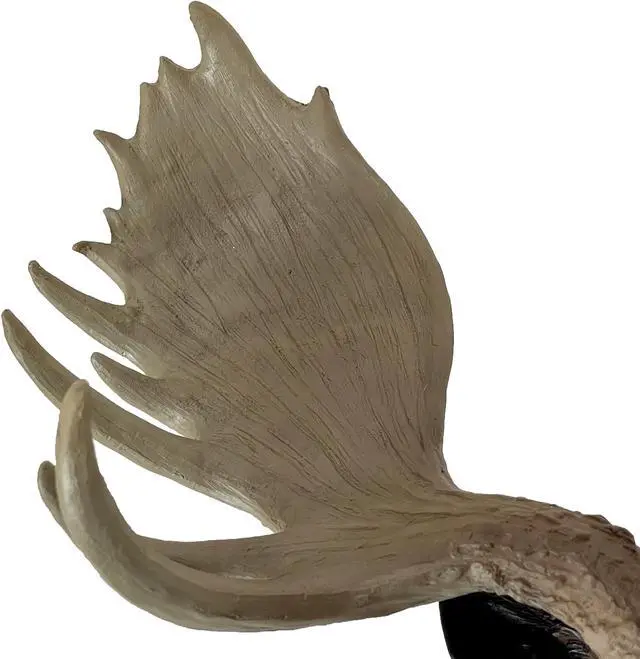 Alt view image 5 of 7 - North American Moose Head Bust Wall Hanging