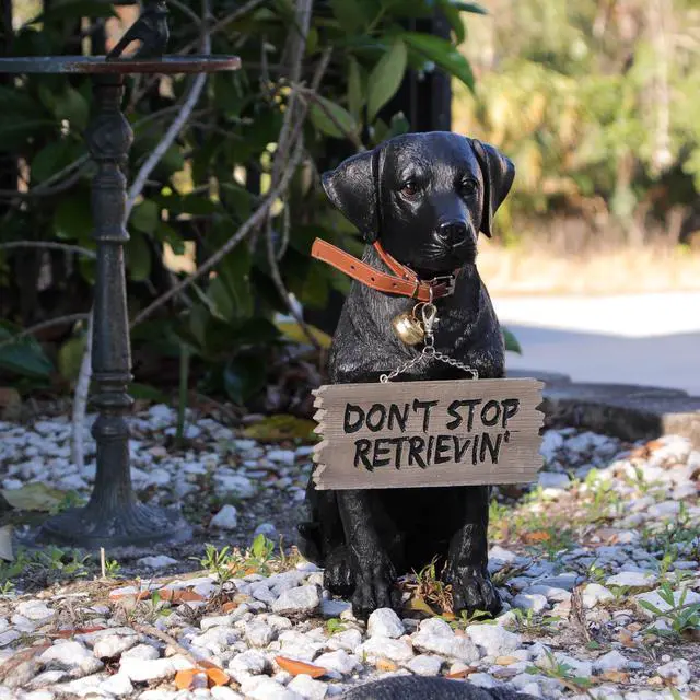 Alt view image 4 of 7 - Charming Black Labrador Indoor Outdoor Welcome Statue: Lifelike Canine Companion with Reversible Message Sign for Heartwarming Greetings and Playful Decor