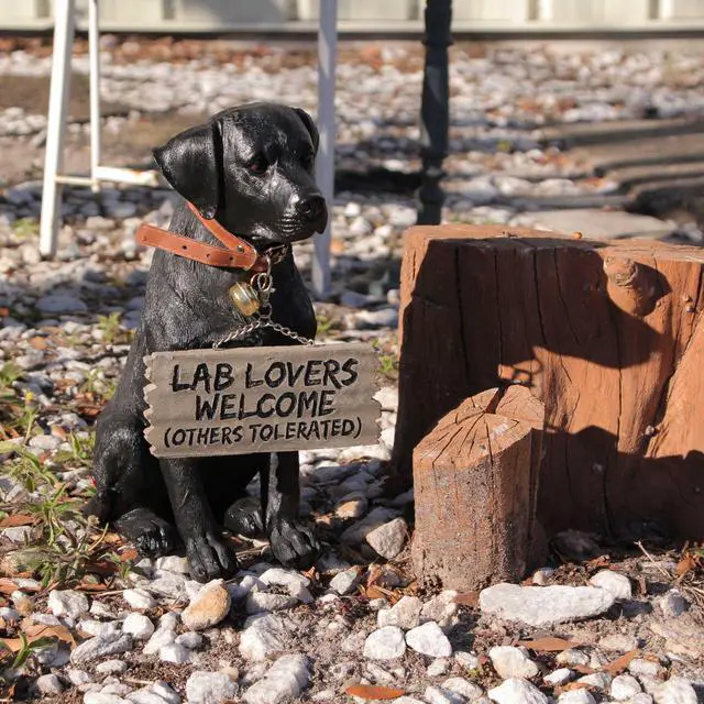 Alt view image 5 of 7 - Charming Black Labrador Indoor Outdoor Welcome Statue: Lifelike Canine Companion with Reversible Message Sign for Heartwarming Greetings and Playful Decor