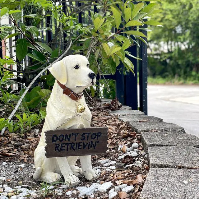 Alt view image 4 of 7 - Labrador Retriever Garden Statue with Reversible Welcome Sign, Resin Dog Figurine, Hand-Painted Lab Decor for Lawn, Porch, or Entryway, 13.5 Inch High, Dont Stop Retrievin & Lab Lovers Welcome