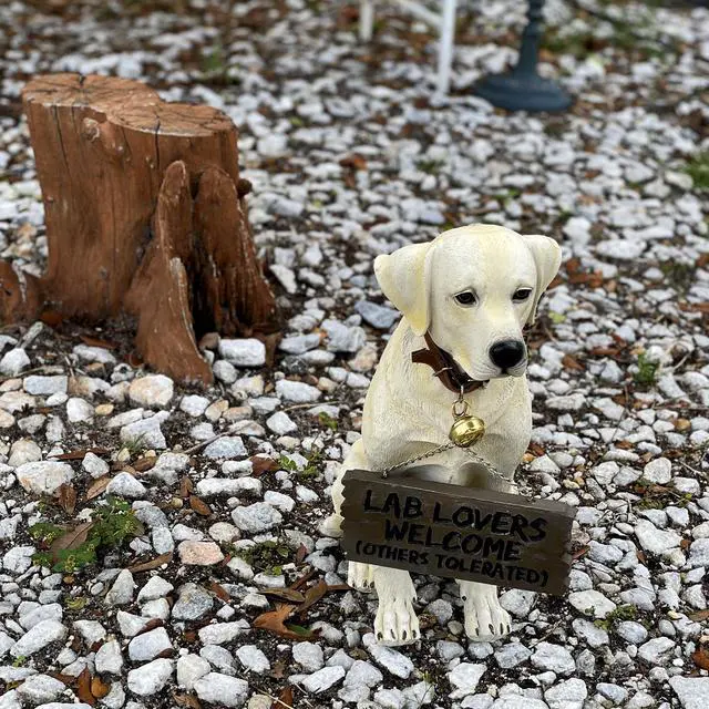 Alt view image 7 of 7 - Labrador Retriever Garden Statue with Reversible Welcome Sign, Resin Dog Figurine, Hand-Painted Lab Decor for Lawn, Porch, or Entryway, 13.5 Inch High, Dont Stop Retrievin & Lab Lovers Welcome