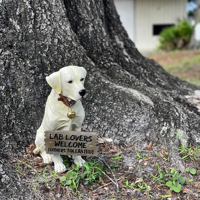 Alt view image 6 of 7 - Labrador Retriever Garden Statue with Reversible Welcome Sign, Resin Dog Figurine, Hand-Painted Lab Decor for Lawn, Porch, or Entryway, 13.5 Inch High, Dont Stop Retrievin & Lab Lovers Welcome
