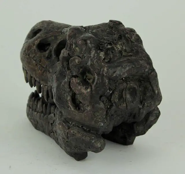 Alt view image 3 of 4 - Tyrannosaurus Rex Dinosaur Skull Fossil Statue Small