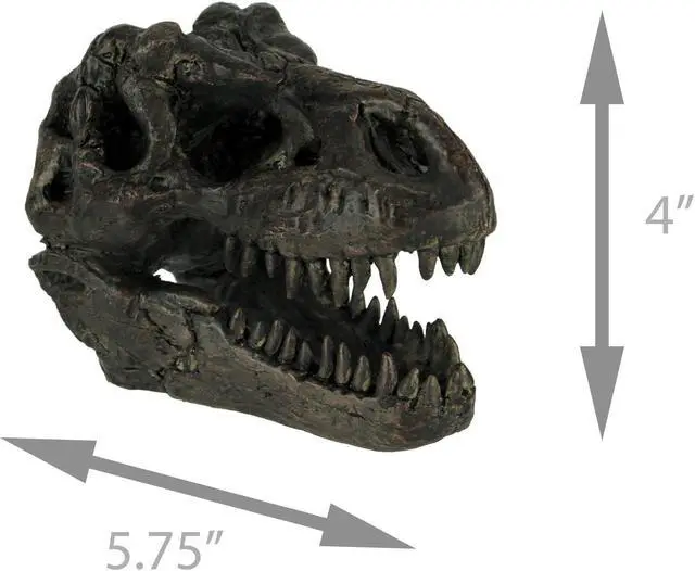 Alt view image 4 of 4 - Tyrannosaurus Rex Dinosaur Skull Fossil Statue Small