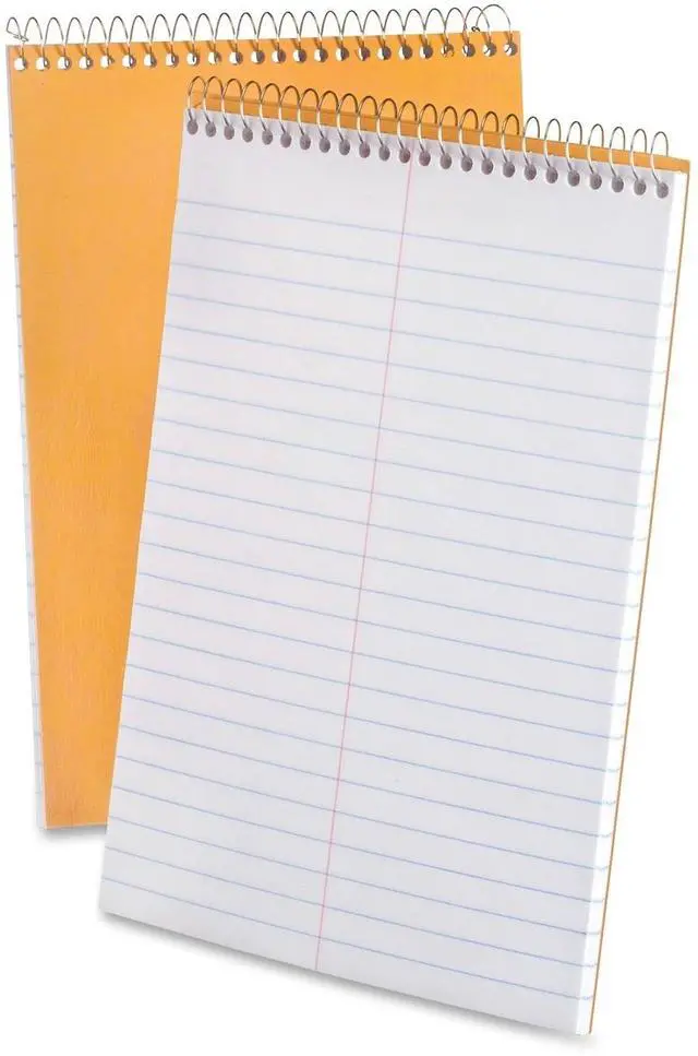 Main image of Ampad Kraft Cover Gregg Ruled Steno Book