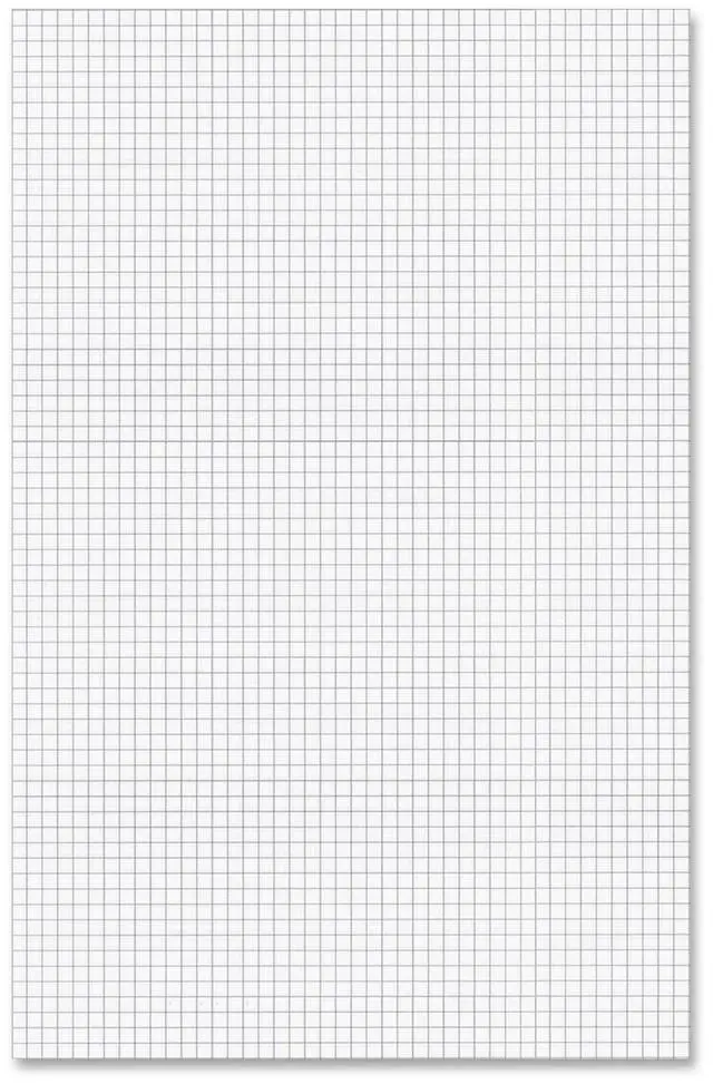 Main image of Ampad Tabloid-size Quadrille Pad
