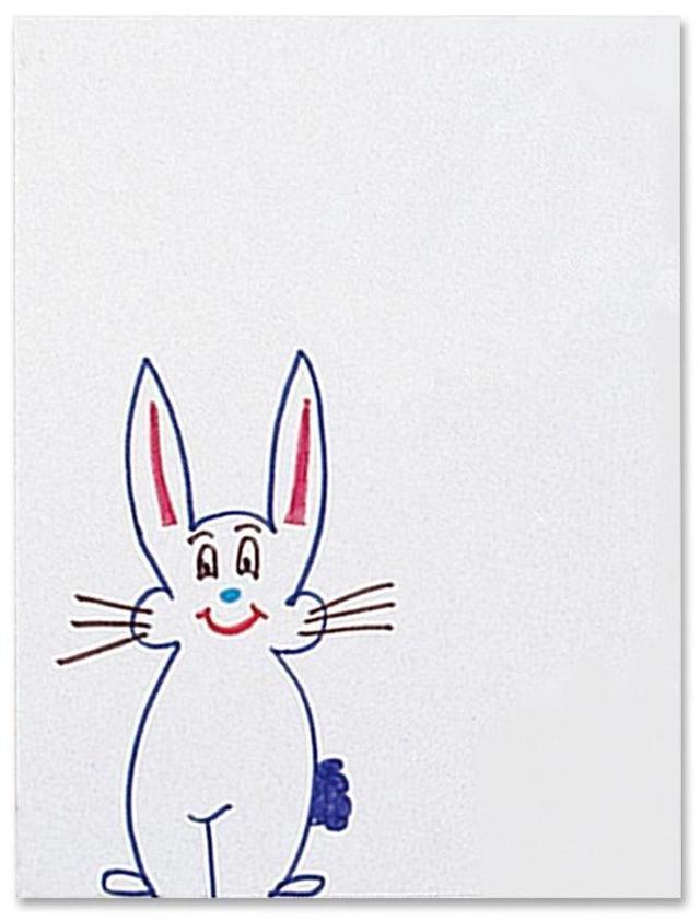 Alt view image 2 of 2 - Pacon Multipurpose Tagboard Paper