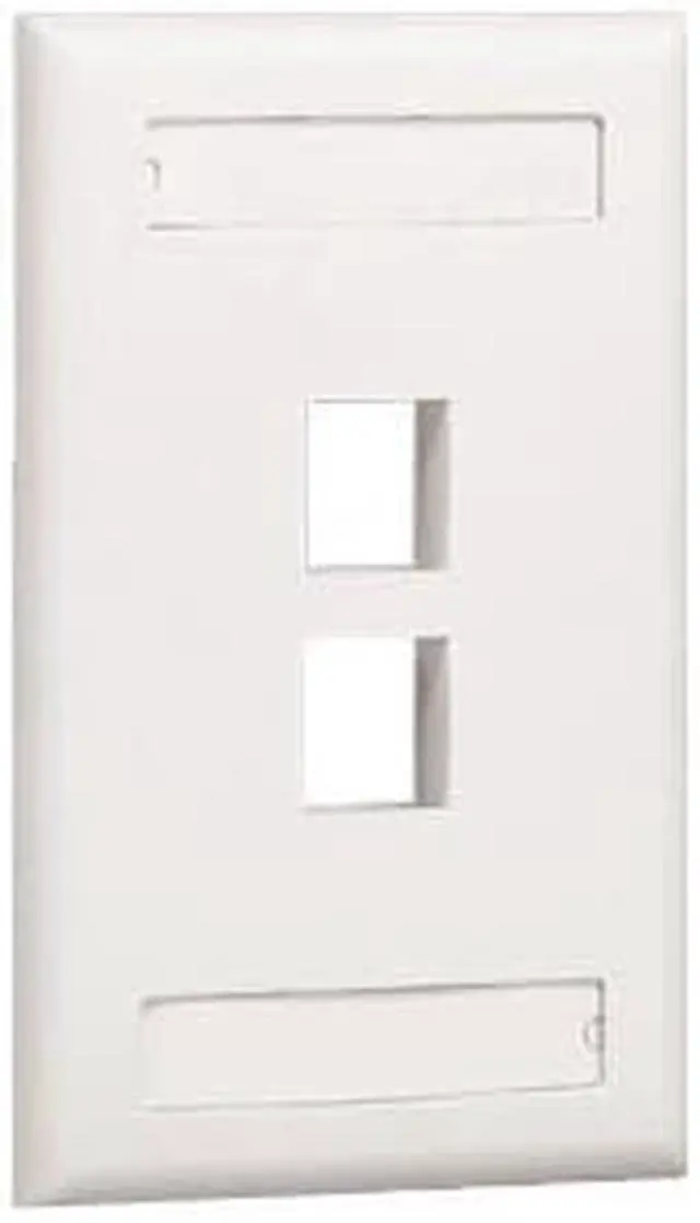 Main image of PANDUIT 2 Socket NetKey Faceplate