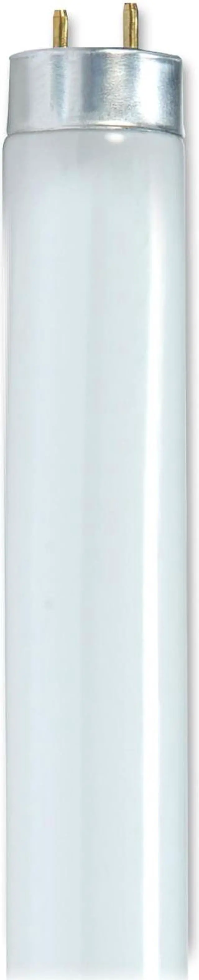 Main image of Satco 25-watt 48" T8 Fluorescent Bulb