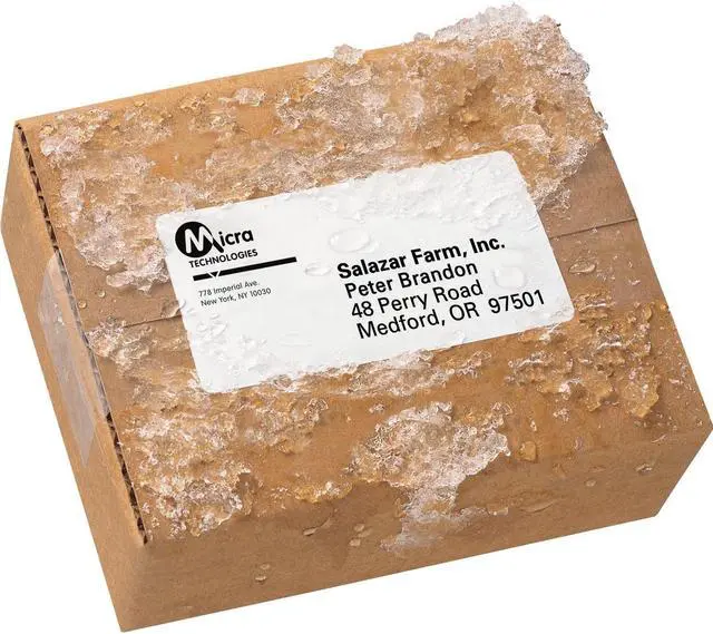Main image of Avery WeatherProof Mailing Labels with TrueBlock Technology