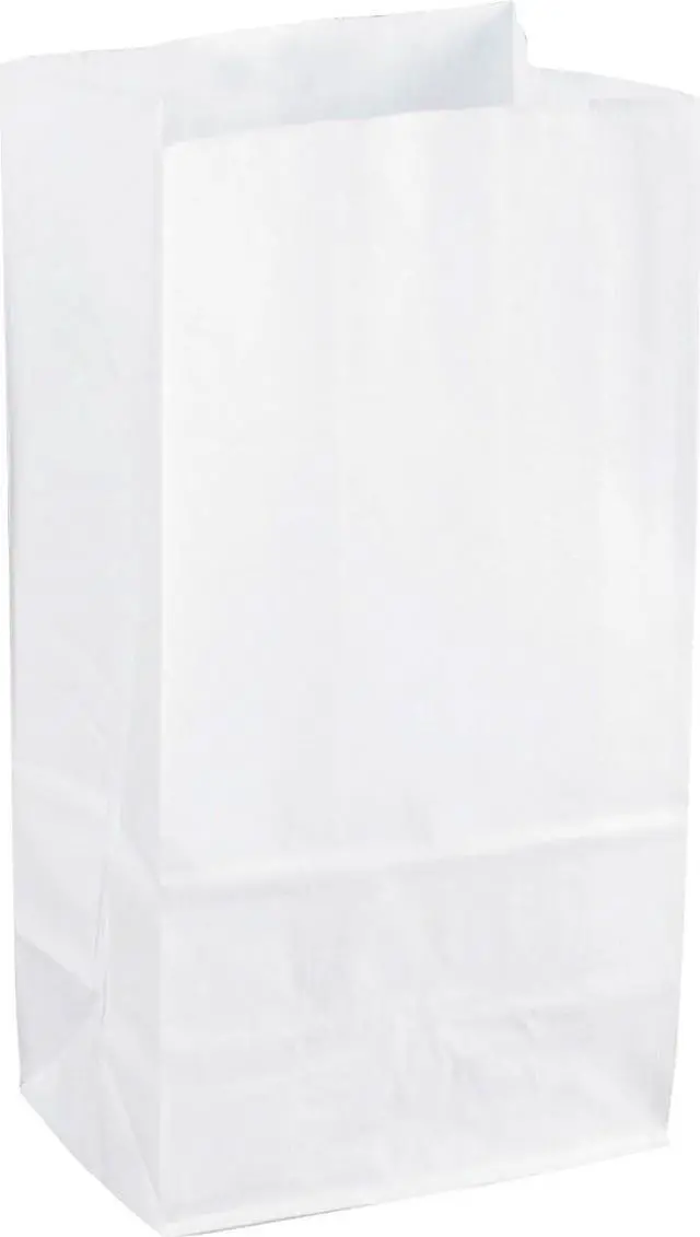 Main image of Sparco White Kraft Paper Bags