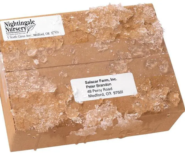 Main image of Avery WeatherProof Mailing Labels with TrueBlock Technology
